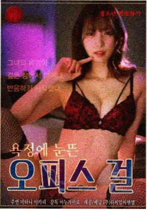 影视大全片单夹页封面：白露纪事剧集条目